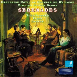 Sérénade en mi mineur cordes, Op. 20: I. Allegro piacevole