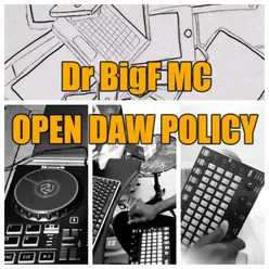 Open DAW Policy