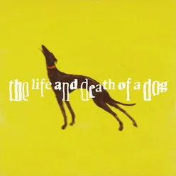 the life and death of a dog