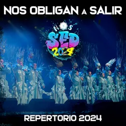 Sed - Repertorio 2024