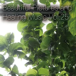 Beautiful Pictures and Healing Music Vol.25 (Women's Public Opinion ver.)