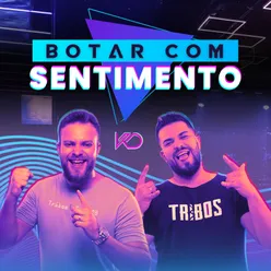 Botar Com Sentimento