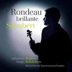 Schubert: Rondeau brillante in B Minor Op. 70, D. 895: I. Andante - II. Allegro (Arr. for Violin and Strings Ensemble by Paul Suits) [Excerpt]