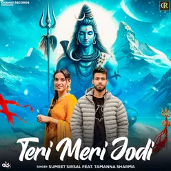 Teri Meri Jodi