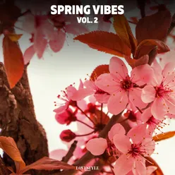 Spring Vibes, Vol. 2