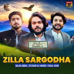 Zilla Sargodha - Single