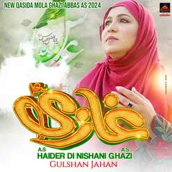 Haider A.s Di Nishani Ghazi A.s