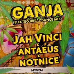 Ganja (Electro Breakdance Mix)