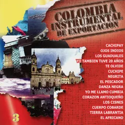 Colombia Instrumental De Exportacion, Vol. 3