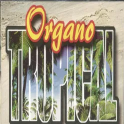 Organo Tropical (Instrumental)