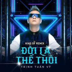 Đời Là Thế Thôi (Remix)