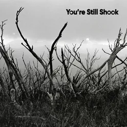 You're Still Shook