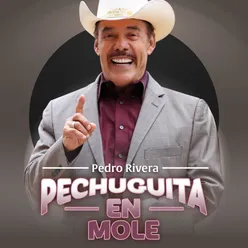 Pechuguita en Mole