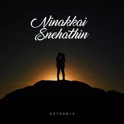 Ninakkai snehathin Lofi