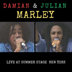 Julian & Damian Marley Live at Summer Stage New York