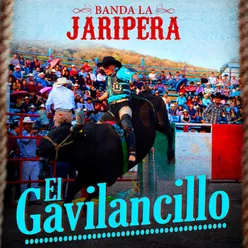 El Gavilancillo