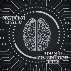 Conexão Mestria