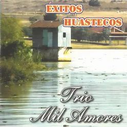 Éxitos Huastecos