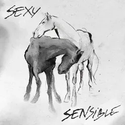 SexySensible (intro)