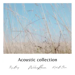 Acoustic Collection