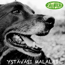 Ystäväsi Malalai