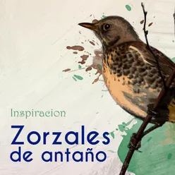 Inspiración