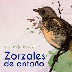 Zorzales de Antaño… A Fuego Lento