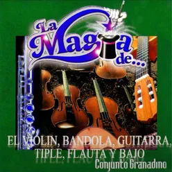 La Magia De... El Violín, Bandola, Guitarra, Triple, Flauta, Bajo
