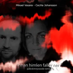 Himlen faller ner (PaleSkinnySwede Remix)