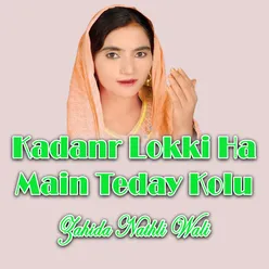 Kadanr Lokki Ha Main Teday Kolu