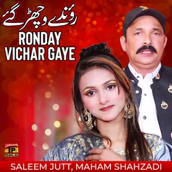 Ronday Vichar Gaye - Single