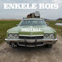 Enkele rois