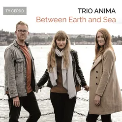 Flow, My Tears (Arr. by Trio Anima for Flute, Viola & Harp)