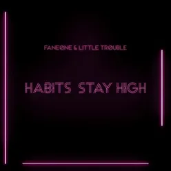 Habits (Stay High)