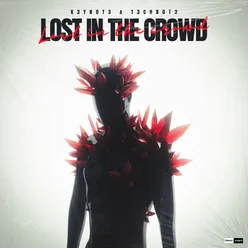 Lost In The Crowd