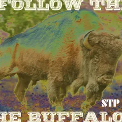 Follow The Buffalo