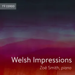 Welsh Impressions