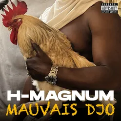 Mauvais djo