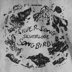 Silver Song