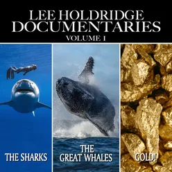Lee Holdridge: Documentaries, Vol. 1