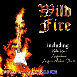 Wild Fire - Theme music