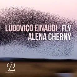 Einaudi: Fly