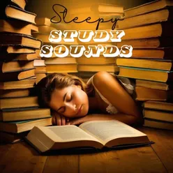 Sleepy Scholar’s Serenade