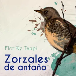 Zorzales de Antaño… Flor De Taupi