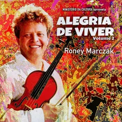 Violin Sonata in D Major Op. 1 No. 4 Hwv371 - Allegro No. 2