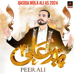 Peer Ali