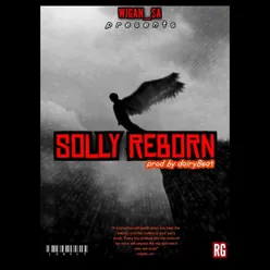 Solly Reborn