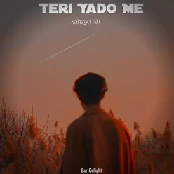 Teri Yado Me