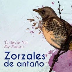 Zorzales de Antaño… Todavía No Me Muero