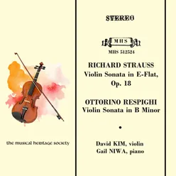 Violin Sonata In B Minor : III. Passacaglia: Allegro moderato ma energico